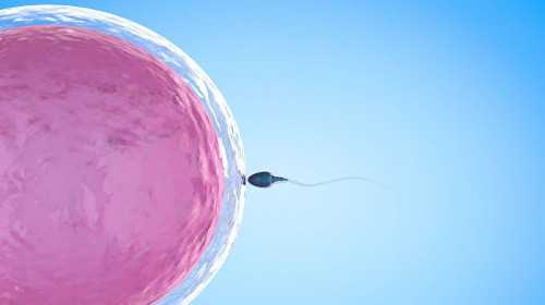2022北京市私立助孕机构名单大全，附试管费用和成功率预估-胚胎移植