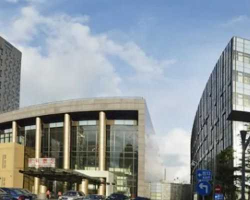 权威怀孕机构，卵泡不排卵泡去哪了(有没有卵泡怎么检查多少钱)