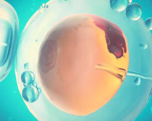 北京借卵生子流程 在北京做试管婴儿必须建档才能做检查吗? ‘怀女孩前三个月