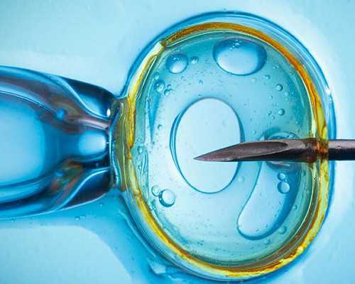 北京供卵试管中心、北京供供卵试管、北京腹腹机构