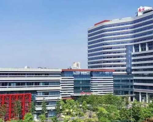 北京代孕公司是不是真实可靠?_北京三代代孕包性别_月经来得少又黑是怎么回事