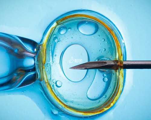 借卵北京代生孩子价格 2026北京供卵医院试管婴儿多少钱？ ‘唐筛数据看男女准