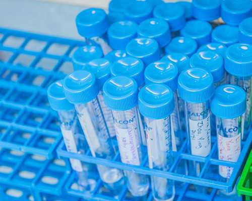 北京代孕包成功选哪家好|合肥三代试管包生男孩,泰安三代试管包生男孩