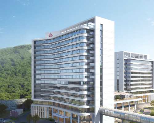 北京捐卵代怀价格,北京试管中介,北京1-试管中介