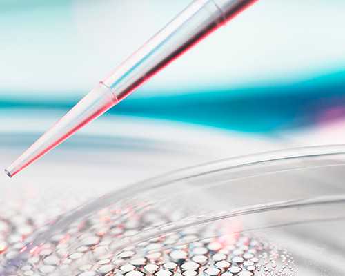 2026最新人工受孕价格是多少钱？内附全国十佳医院