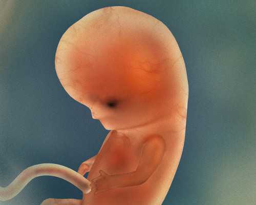 北京供卵试管医院,北京供卵试管婴儿医院排名_蛋白酶的作用