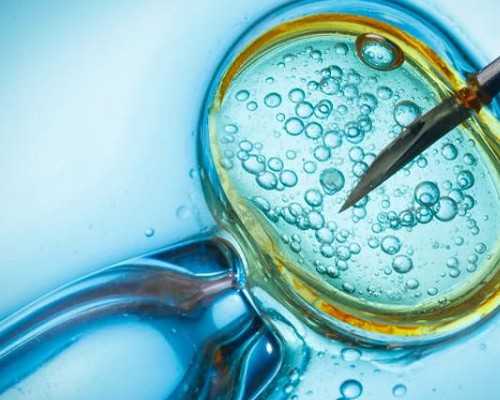 北京薅慜供卵公司,北京三代试管助孕孩子-北京三代试管医院