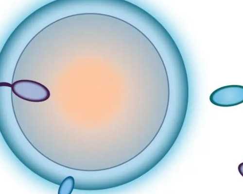 成功宝贝助孕官网|[益阳试管婴儿]做试管婴儿移植几个胚胎最好？择优选择