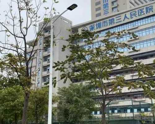 宁波地下代孕试管婴儿40万起 老板称是做好事