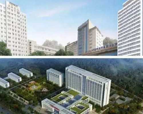 北京卵巢切除找代孕费用|亳州供卵试管三代生男孩价格