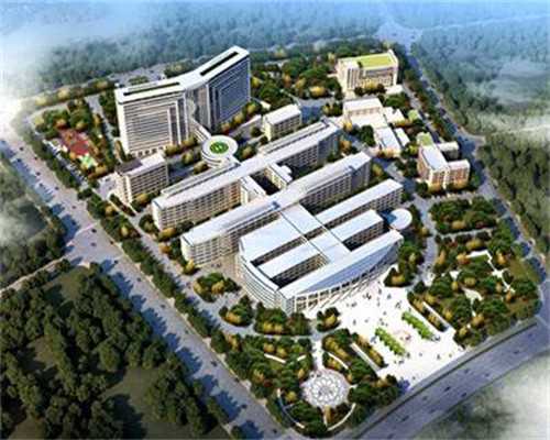 北京中方代孕电话 北京朝阳医院做试管婴儿成功率高吗? ‘b超单的股骨比双顶