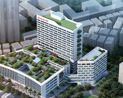 北京怎么样才能合法代孕|2026宁德中医院试管婴儿医疗团队介绍，费用及成功率