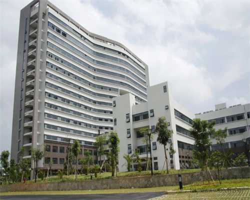 北京代怀助孕公司|北京朝阳医院试管婴儿费用多少？2026
年试管价格表