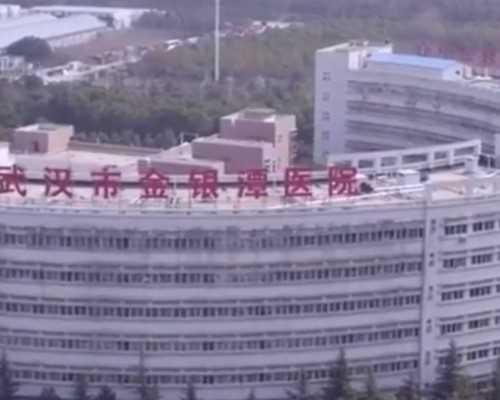 北京公司代怀协议 北京协和医院试管多少钱? ‘孕囊月牙状香港验血说是女孩’