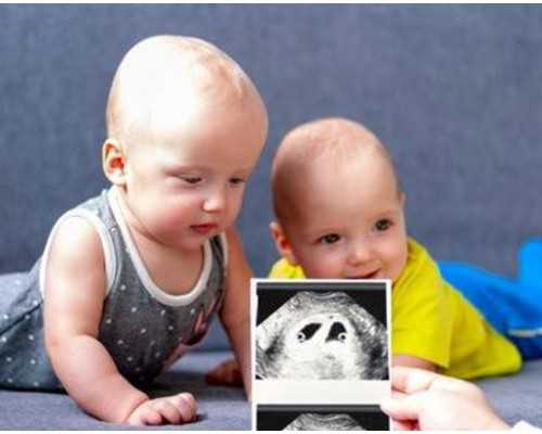 2026北京试管生子助孕机构名单,北京有资质的十大助孕机构_猫咪口水脏吗