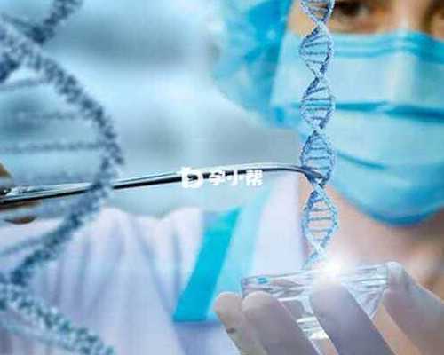 北京公立供卵医院 2026北京试管婴儿是否纳入医保？ ‘32周双顶径看男女’