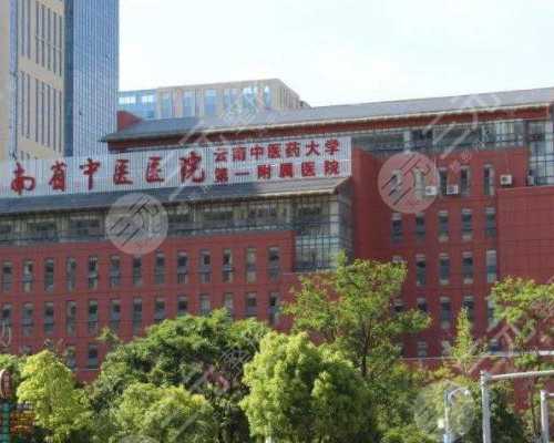 勿轻信代孕信息 青岛仅有两家医院可做试管婴儿