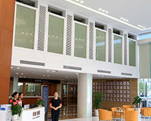 泰国做试管婴儿需要什么手续