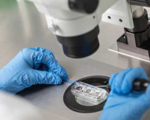 武汉助孕包成功机构|安康做试管婴儿口碑比较好的三甲医院是哪个