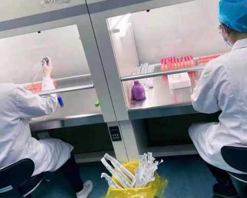 北京代生服务公司,北京三院生殖中心能供卵吗,北京供卵咨询传承生殖可靠