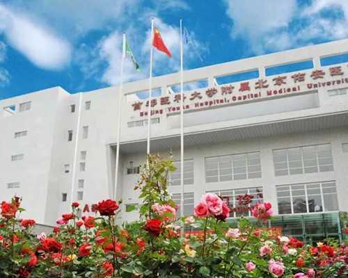 北京代怀试管婴儿,北京供卵试管公司，北京试管婴儿流程