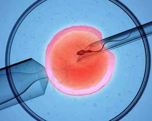 2026北京301医院供卵多少钱一次？,郑州助孕机构排名(北京供卵机构有哪些)_西安