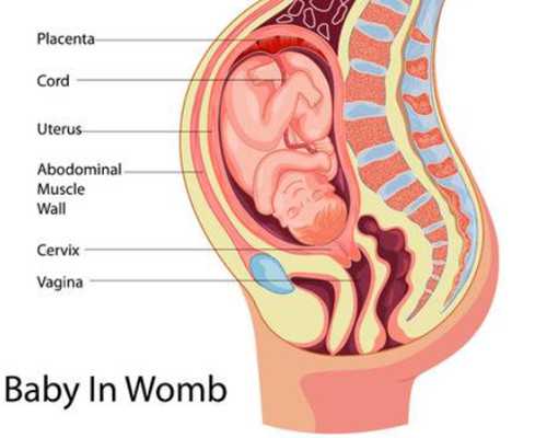 东莞新闻：东莞dna亲子鉴定中心在哪里？