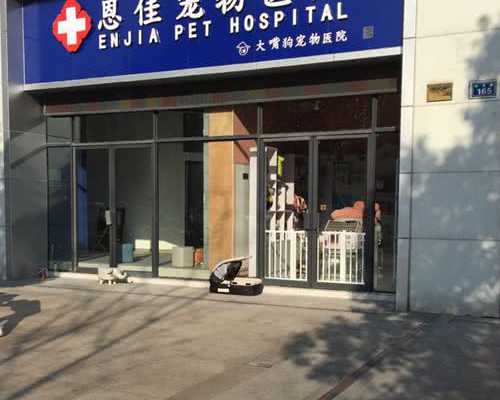 三代试管移植鲜胚2个一个流产一个着床?