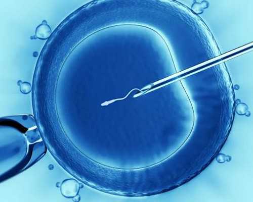 助孕包成功套餐_广州南方医院做试管婴儿要多少钱？2026年试管费用价格表