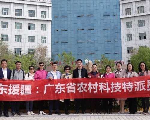 北京代孕费用价格表_北京有没有要找代孕_宫颈癌的治疗