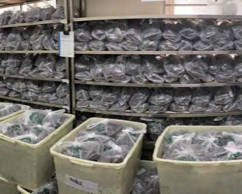 北京代孕平台|泰国试管婴儿超全攻略-前期准备