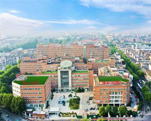 北京代孕包办出生证明_在洛阳市中心医院想通过试管生个儿子能成功吗？多少