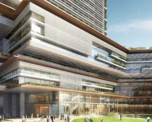 深圳包生代生 深圳医院，北京大学。 ‘b超多大可以看出男女’