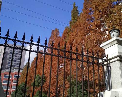 北京试管移植术的价格是多少