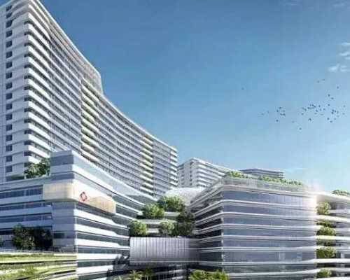 北京口碑好的代生 北京二胎准生证的材料 ‘生男孩的彩超’