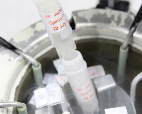 北京代孕生子网真假|南平人民医院能做三代试管婴儿吗？