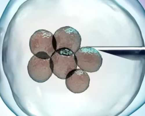 北京助孕零风险 北京协和医院挂号小技巧 ‘双顶径和心率看男女’