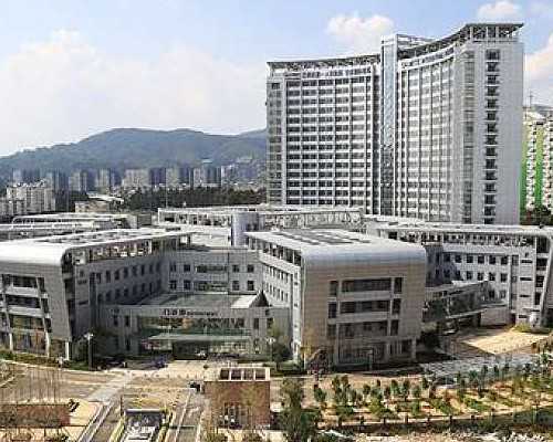 北京最快5年代孕合法 北京美中宜和北三环妇儿医院 ‘四维的时候男宝跟女宝的