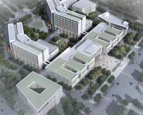 广州高龄试管婴儿费用是多少？,广州高龄试管婴儿成功率高吗？_放生田螺消业