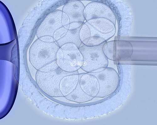 孕晚期怎样给胎儿补充营养最快？孕妇要避免什么食物？