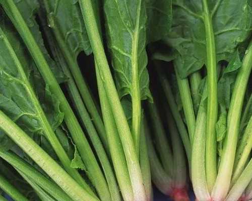 试管婴儿或者代孕的孕妈妈为什么会去做亲子鉴定？