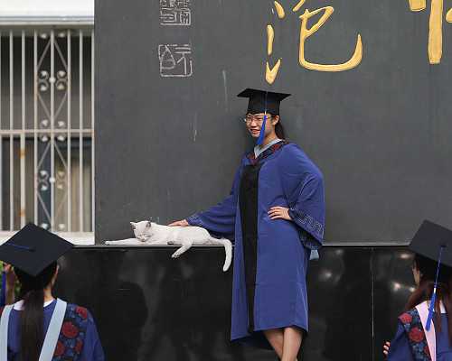 北京代孕公司中心,说一说，北京试管咨询