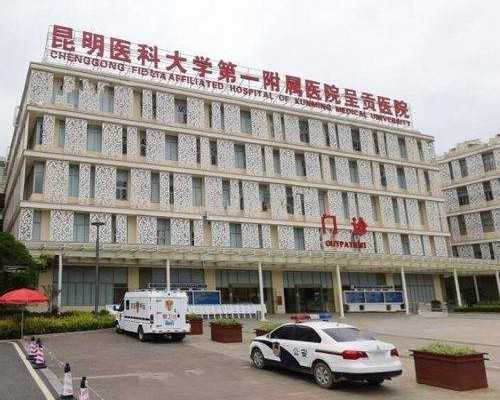 2026北京试管三代助孕生男孩最新收费,北京有哪些医院提供三代试管助孕服务？