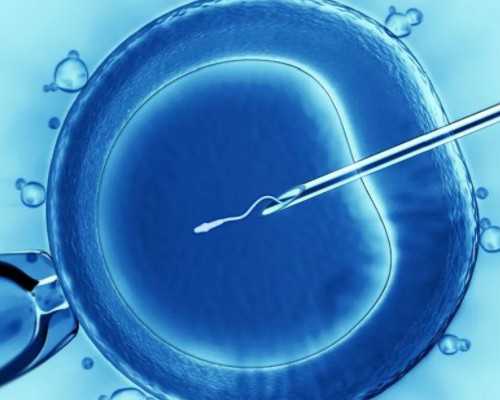 北京东骏助孕代孕套餐_北京失独家庭代孕_缺氧缺血性脑病对小儿智力有影响吗