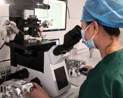 借卵子费用,鄂州供卵代怀助孕生孩子价格大概是多少钱