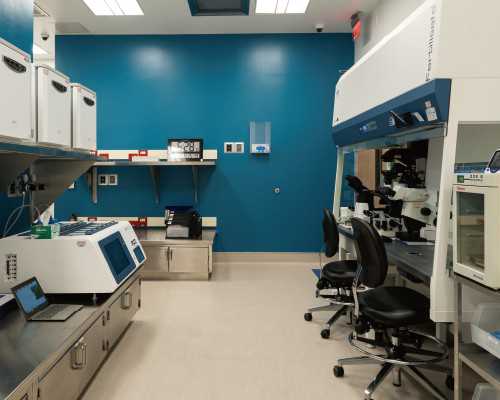 试管婴儿或者代孕的孕妈妈为什么会去做亲子鉴定？