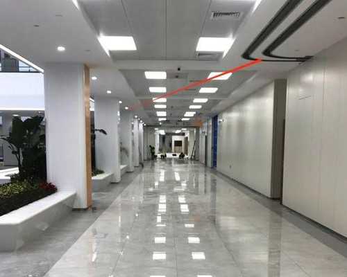 北京那里做代孕几率大_随州试管婴儿医院排名2026试管花费明细表及成功率公布