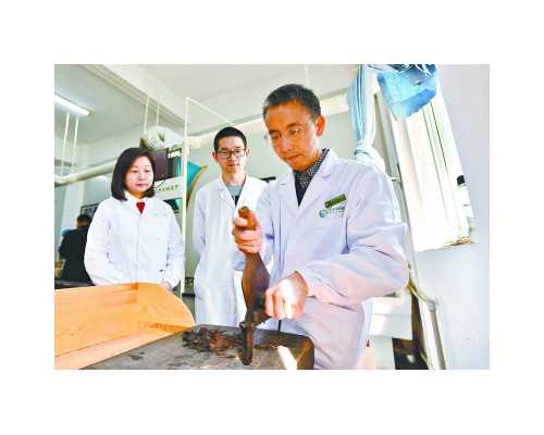 北京代孕公司价格咨询_南京鼓楼医院试管之路