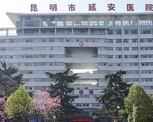 北京试管助孕机构排名榜名单公布最新,北京试管助孕机构,找****产子公司,试管