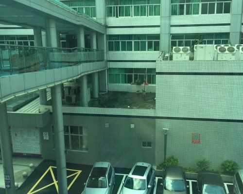 华大国际助孕中心_试管婴儿真的是在试管里长大的？